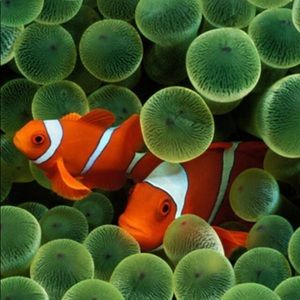 Meet your Posher, Terri